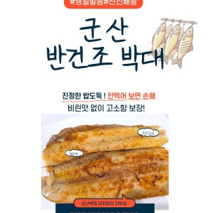군산 반건조 박대 서대 말린 생선 구이 5마리