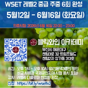 WSET 2단계 와인 인증 과정 (부산)