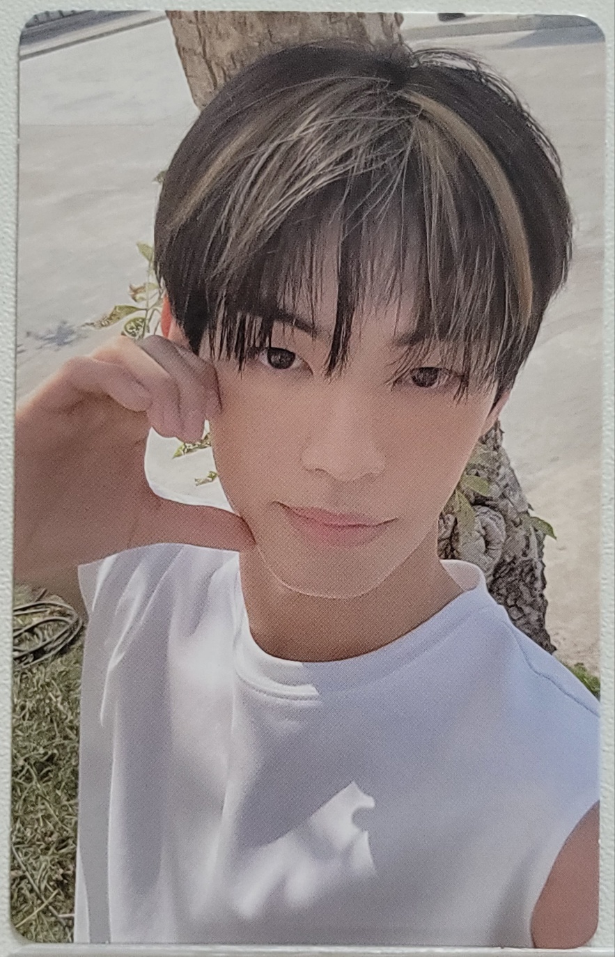 TWS Dohoon Photocard