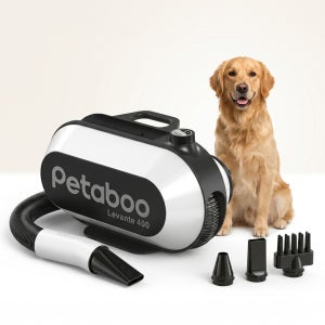 페타부 애견 드라이기 에어탱크 대형견 강아지 펫 드라이룸 Petaboo L400