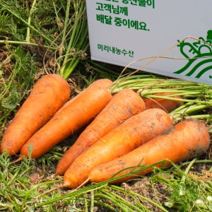 [농할쿠폰] 국내산 당근 특 10kg