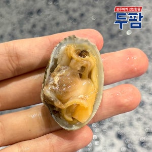 고흥 자연산 활 왕바지락 1kg 해감 바지락