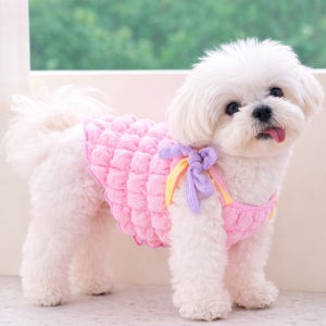 강아지 여름옷 나시 티셔츠 리본 프릴 반려견 의류 파스텔 버블핏