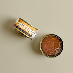 캣스티발 고양이 습식간식캔 참치와타우린, 80g, 24개