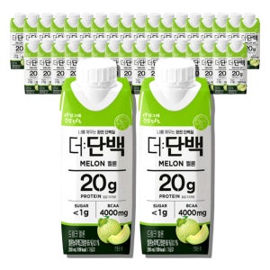 빙그레 더단백 프로틴 드링크 멜론 메론, 250ml, 18개