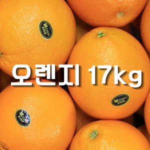 엠파크 캘리포니아 네이블 오렌지 17kg, 1개