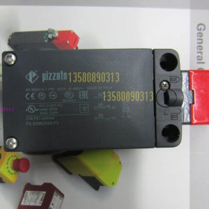 PIZZATO 안전 스위치 FS1896D024-K40