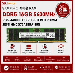 SK하이닉스 서버용 RAM DDR5 16GB 5600 PC5 44800 ECC REG HMCG78AGBRA186N