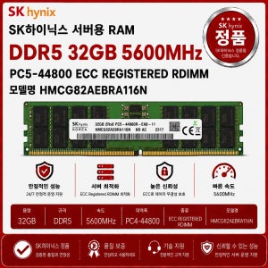 SK하이닉스 서버용 RAM DDR5 32GB 5600 PC5 44800 ECC REG HMCG82AEBRA116N