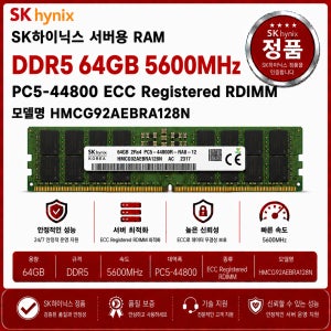 SK하이닉스 DDR5 ECC REG 64GB 5600 PC5 44800