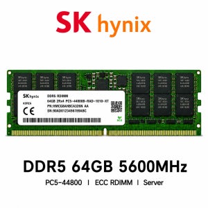 SK하이닉스 서버용 메모리 DDR5 64GB 5600 PC5 44800 ECC REG