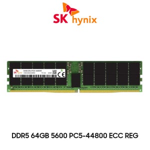 SK하이닉스 서버용 메모리 DDR5 64GB 5600 PC5 44800 ECC REG
