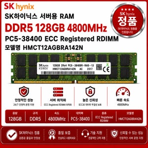 SK하이닉스 DDR5 서버용 ECC REG 128GB 4800 PC5 38400