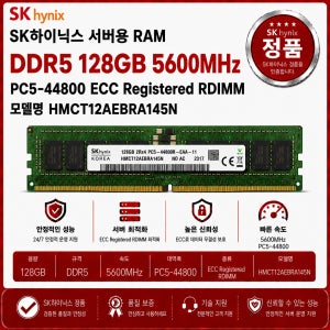 SK하이닉스 DDR5 ECC REG 128GB 5600 PC5 44800