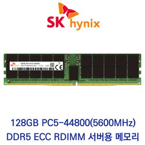 SK하이닉스 서버용 128GB DDR5 5600 PC5-44800 ECC/REG 패키지포