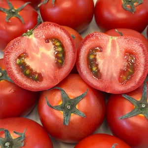 국산 유럽종 완숙 찰토마토 고당도 산지직송 로얄과 대과 주스용 혼합과 3kg 5kg 10kg