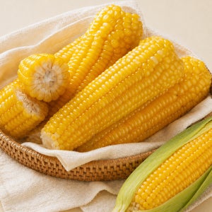 갓 삶아 급속 냉동한 쫀득탱탱 노란 찰옥수수 (NON-GMO) 4.4kg, 14개