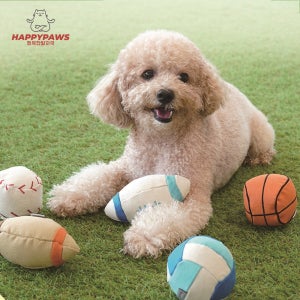 패리스독 무독성 스포츠 볼 캔버스 토이 L사이즈 강아지 소리나는 튼튼한 장난감 대형견용