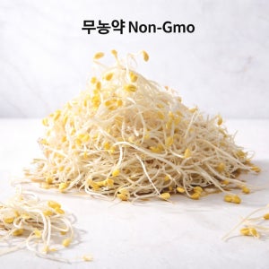 무농약 친환경 콩나물 1kg 2kg 3kg 산지직송