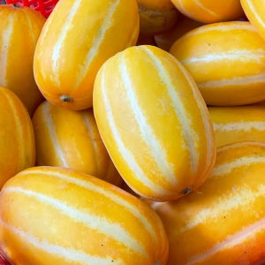 고당도 성주 참외 10kg 로얄과 9kg 10키로 한입 꼬마 미니 꿀 참외