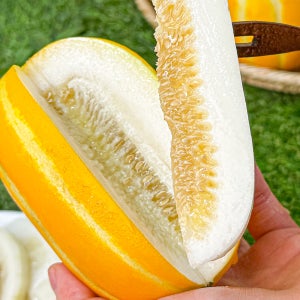 꿀당도 가정용 성주 참외