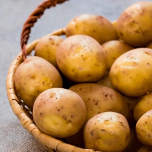 2026 제철 햇감자 수미감자 대, 10kg, 1개