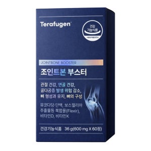 테라퓨젠 조인트본부스터 600mg 60정