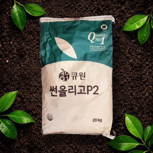 프락토올리고당 썬올리고P2 20kg