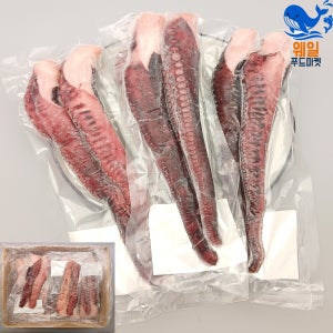 웨일푸드마켓 자숙문어다리 문어족 9kg 대용량 피문어 돌문어 숙회 일식 이자카야 안주