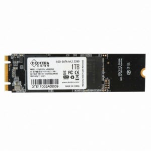 디오테라 VIVA 300S Lite M.2 SATA 1TB