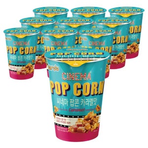 다르다 씨네마 팝콘 카라멜맛 65g x 10개