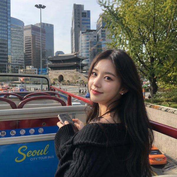 서울 시티투어버스 2층 버스투어 도심 고궁 남산 타이거버스