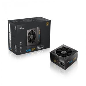 FSP VIC GM 750W 80PLUS골드 풀모듈러 ATX 3.1 / M