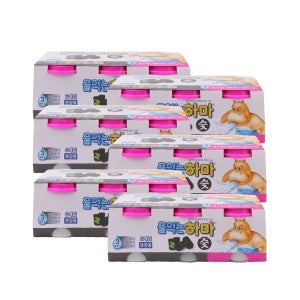 물먹는하마 숯 옷장용 습기제거제 18p 제습제