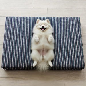 템포핏 강아지 침대 매트리스 쇼파 방석 쿠션