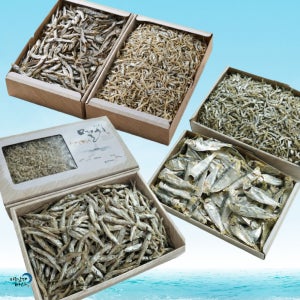 남해 정치망 건멸치 선물세트 1.5kg 다시멸치 볶음용 국물용 산지직송 당일포장