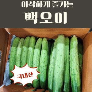 당일경매 국내산 백오이 신선한 오이 경매후바로발송 무침용 생식용 가정용
