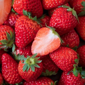 논산 설향 딸기 고당도 프리미엄 [특,상]