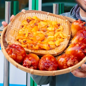 제철 멍게 산지직송 통영 깐멍게500g 활멍게1kg