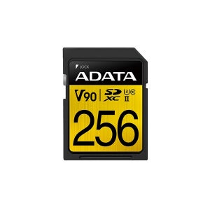 ADATA SD카드 Premier One 2025 (256GB)