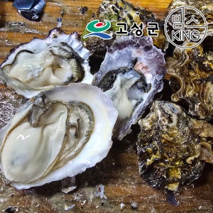 [공룡나라]동성수산 경남 고성 자연산 생굴 3kg / 경남 고성