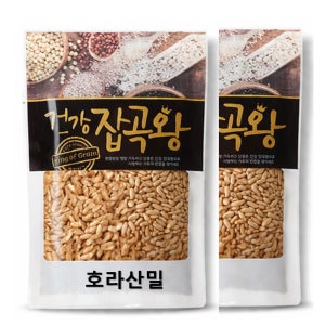 호라산밀 카무트효과 고대곡물 건강잡곡 식이섬유 단백질 풍부 2kg