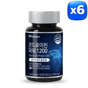 [로니웰] 콘드로이친 파워 1200 1000mg 상어연골 60정, 6개