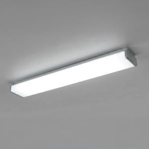 나스필 LED 욕실등 방습 화장실 조명 샤프 30W, 주광색