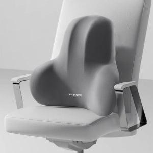 메모리폼 등쿠션 사무실 의자 허리 등받이 차량용 쇼파 바른자세 카이로프랙틱 허리받침대 교정