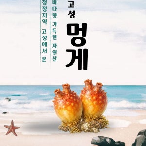 강원도 고성 동해 자연산 멍게 1kg