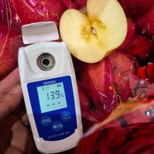 안동 가정용 못난이 사과 고당도 부사 13Brix 10kg, 1개