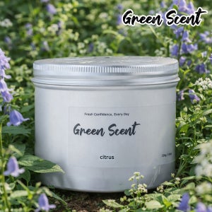 그린센트 고체 탈취제 (실내 악취제거) 시트러스, 200g, 3개