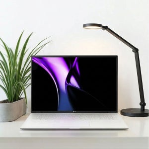 LG전자 그램17 인텔 울트라5 125H 고성능 업무용 고해상도 캐드용 인강용 AI 노트북 Windows11 화이트