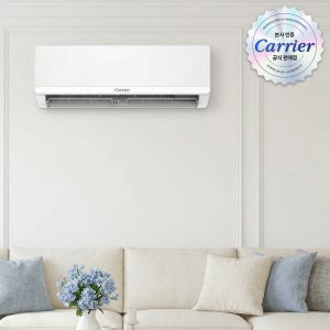 캐리어 벽걸이 에어컨 32.5㎡(10평) OARB-0102GDWSD 일반배관 전국기본설치비 실외기포함